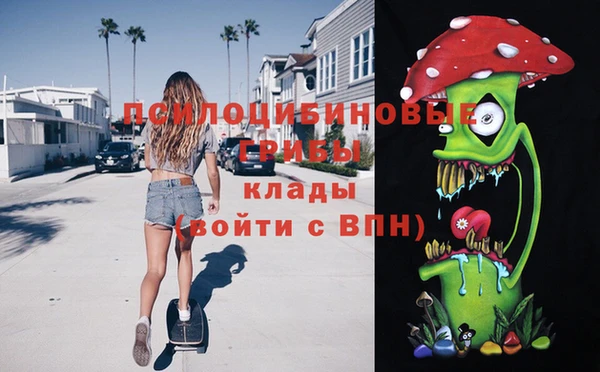 гидропоника Алексин