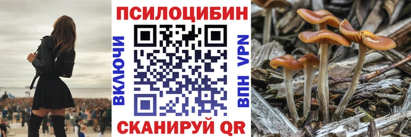 Псилоцибиновые грибы Cubensis  MEGA ONION  Ликино-Дулёво  наркота 